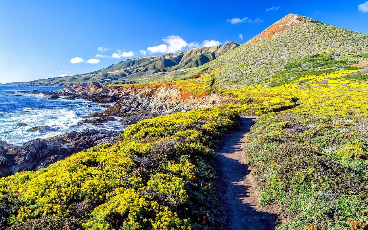 节能信息化信息化